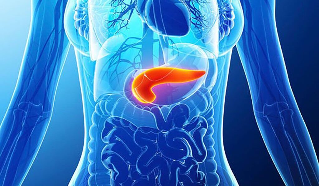 Descoperire majoră în lupta cu cancerul pancreatic: Un nou mecanism de rezistență la chimioterapie O echipă de cercetători a identificat un mecanism molecular care stă la baza rezistenței tumorilor pancreatice la chimioterapie, o descoperire care ar putea revoluționa tratamentul uneia dintre cele mai agresive forme de cancer