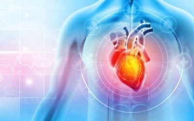 Calitatea alimentației, mai importantă decât limitările dietetice pentru sănătatea inimii Un studiu amplu, desfășurat pe o perioadă de trei decenii în Statele Unite, a relevat faptul că nu restricțiile privind grăsimile sau carbohidrații sunt factorul decisiv pentru sănătatea cardiovasculară, ci calitatea alimentelor consumate