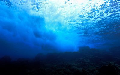Un nou studiu dezvăluie secretele „Marelui Canion al Atlanticului” O echipă de cercetători a elucidat mecanismele complexe care au dus la formarea Depresiunii King, supranumită „Marele Canion al Atlanticului”