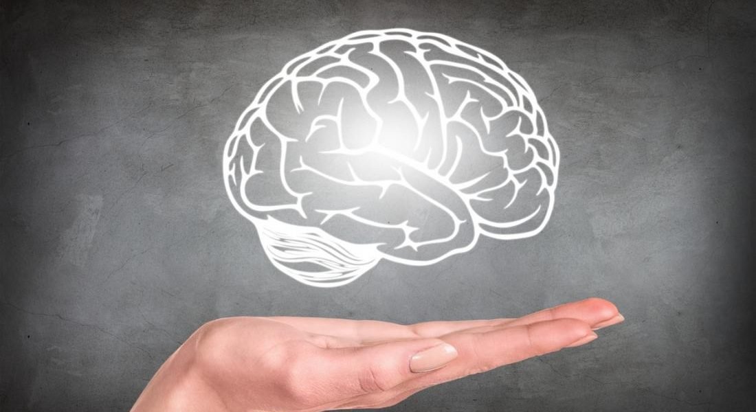 Creierul de șoarece „readus la viață” după înghețare: un pas important pentru știință, dar nu și pentru nemurire Un studiu recent arată că cercetătorii au reușit să readucă la viață funcții neuronale într-un creier de șoarece după ce acesta a fost congelat și apoi reîncălzit