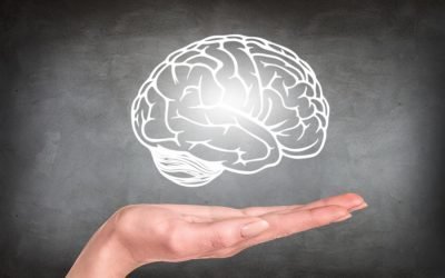 Creierul de șoarece „readus la viață” după înghețare: un pas important pentru știință, dar nu și pentru nemurire Un studiu recent arată că cercetătorii au reușit să readucă la viață funcții neuronale într-un creier de șoarece după ce acesta a fost congelat și apoi reîncălzit