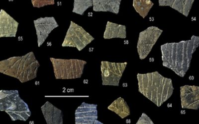 Cele mai vechi modele geometrice create de om, descoperite pe ouă de struț vechi de 60.000 de ani Oamenii de știință au descoperit cele mai vechi modele geometrice create de om, gravate pe fragmente de ouă de struț vechi de aproximativ 60.000 de ani