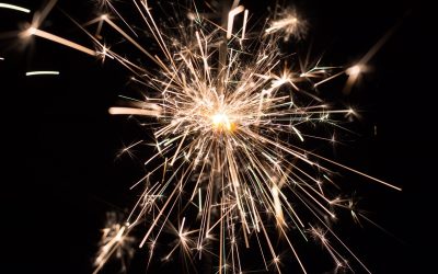 Reguli mai stricte pentru artificii și petarde în București, votate de consiliul general Consiliul General al Municipiului București a aprobat un proiect de hotărâre inițiat de consiliera generală REPER, Andreea Leonte, care prevede reguli mai stricte pentru utilizarea materialelor pirotehnice în Capitală