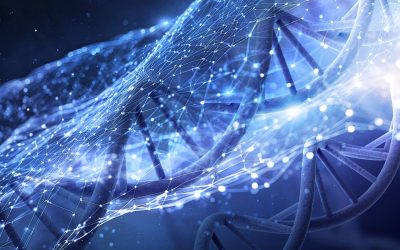 Descoperire uimitoare: Segmente neobișnuite de ADN accelerează evoluția speciilor de pești O echipă de cercetători de la Universitatea din Cambridge și Universitatea din Anvers a făcut o descoperire importantă despre evoluția speciilor