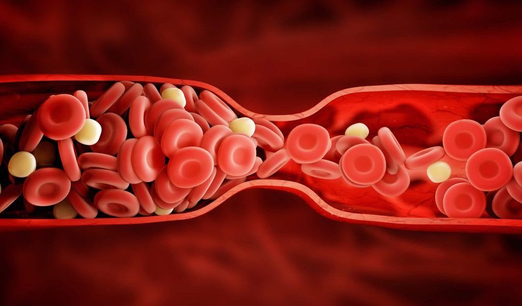 Vitamina K: Aliat sau inamic pentru cei cu probleme de coagulare? București – Vitamina K, esențială pentru coagularea sângelui, poate deveni o problemă serioasă pentru pacienții care iau anumite medicamente anticoagulante