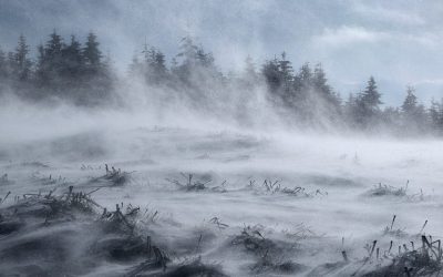 Cod portocaliu de viscol în munți: ANM avertizează asupra ninsorilor abundente și vântului puternic Administrația Națională de Meteorologie (ANM) a emis o avertizare nowcasting de cod portocaliu pentru zonele montane din mai multe județe ale țării, valabilă până la ora 12:00