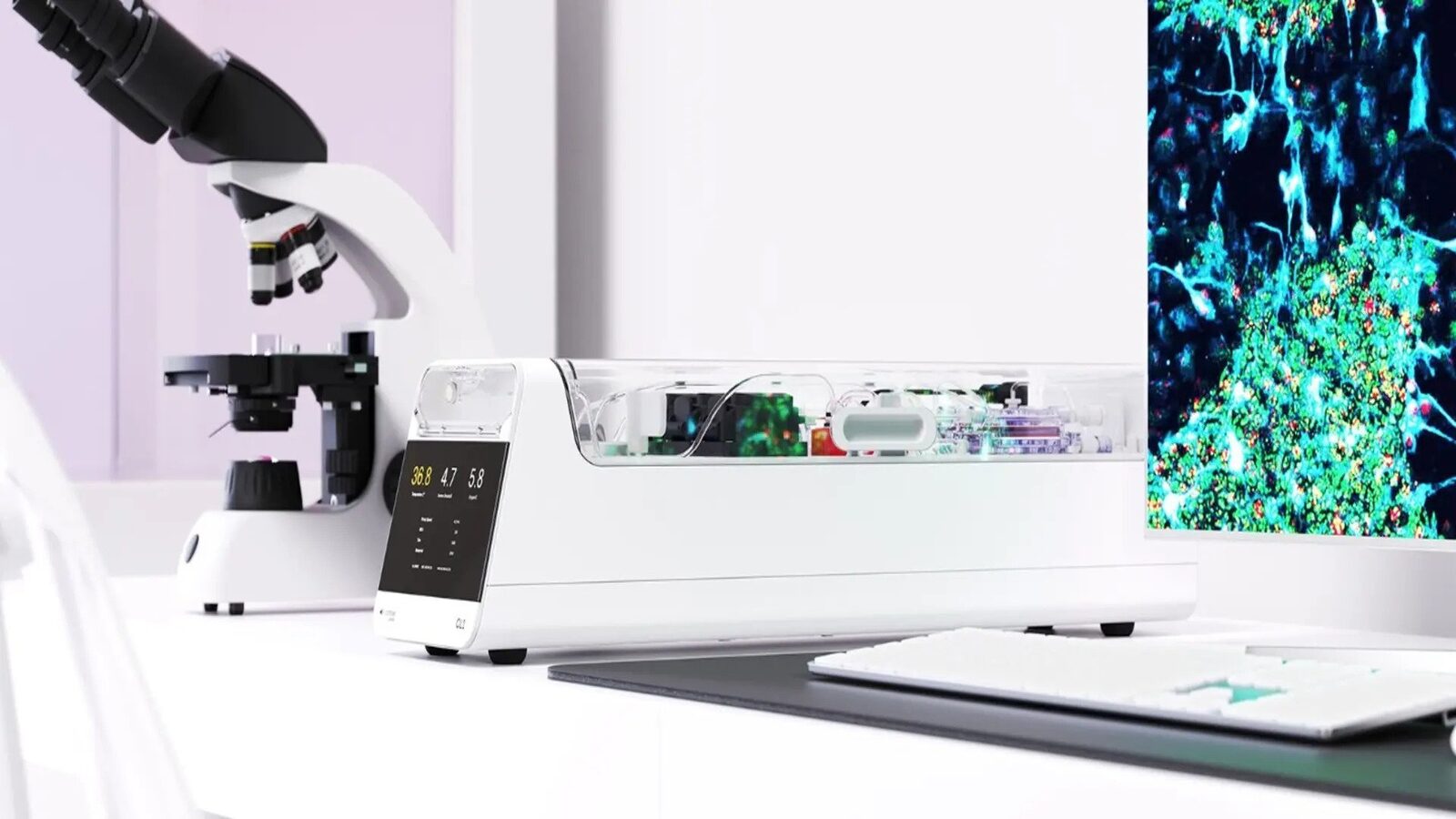Neuroni umani vii joacă Doom: Un pas important spre calculul biologic Un sistem de calcul hibrid, ce combină celule cerebrale umane vii cu componente electronice, a reușit să joace celebrul joc video Doom