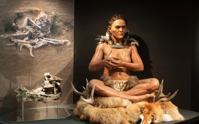 Descoperiri uimitoare: un copil din epoca de piatră, îngropat cu o coroană din pene Arheologii au făcut o descoperire remarcabilă în sudul Suediei, dezvăluind obiceiurile funerare ale comunităților din epoca de piatră