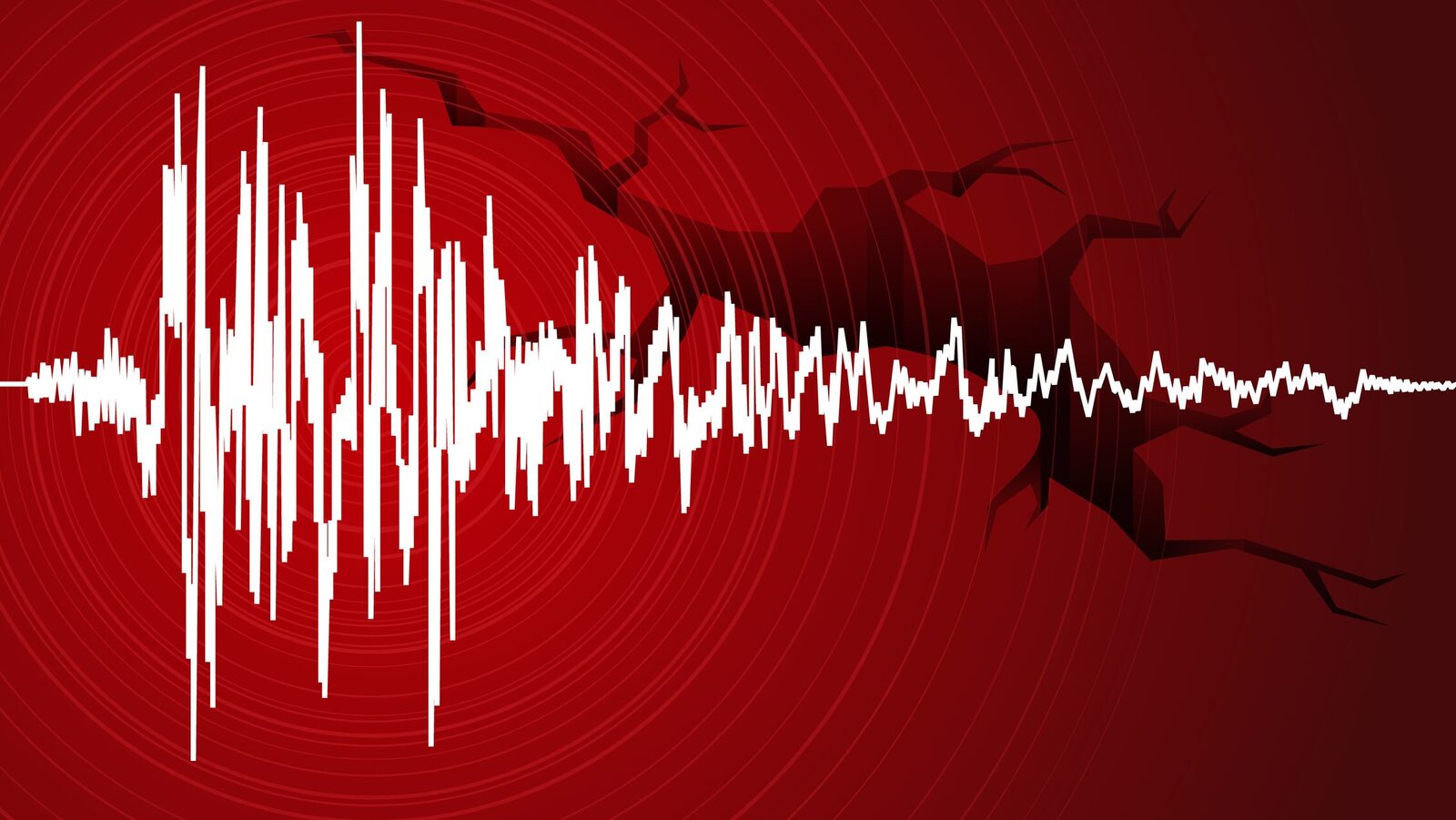 Structura de Rezistență a Clădirilor: Cine Ne Asigură Siguranța? Când ne gândim la o clădire, adesea ne concentrăm pe aspectul estetic, uitând de componentele esențiale care ne protejează
