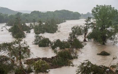 Google introduce un nou instrument bazat pe inteligența artificială pentru prognozarea inundațiilor Compania Google a dezvoltat o nouă unealtă bazată pe inteligența artificială, numită Groundsource, care utilizează un model de tip LLM (Large Language Model) pentru a anticipa riscul de inundații rapide