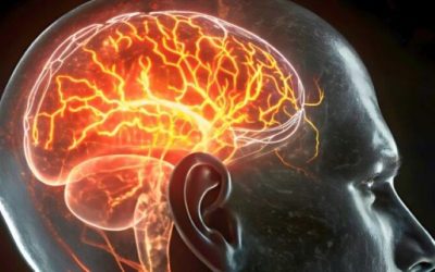 Studiu: Un aliment ar putea diminua riscul de demență