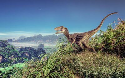 O fosilă veche de 90 de milioane de ani a elucidat un mister din lumea dinozaurilor O echipă internațională de cercetători a descoperit o fosilă aproape completă a unui dinozaur vechi de 90 de milioane de ani, oferind noi perspective asupra evoluției unui grup ciudat de animale preistorice