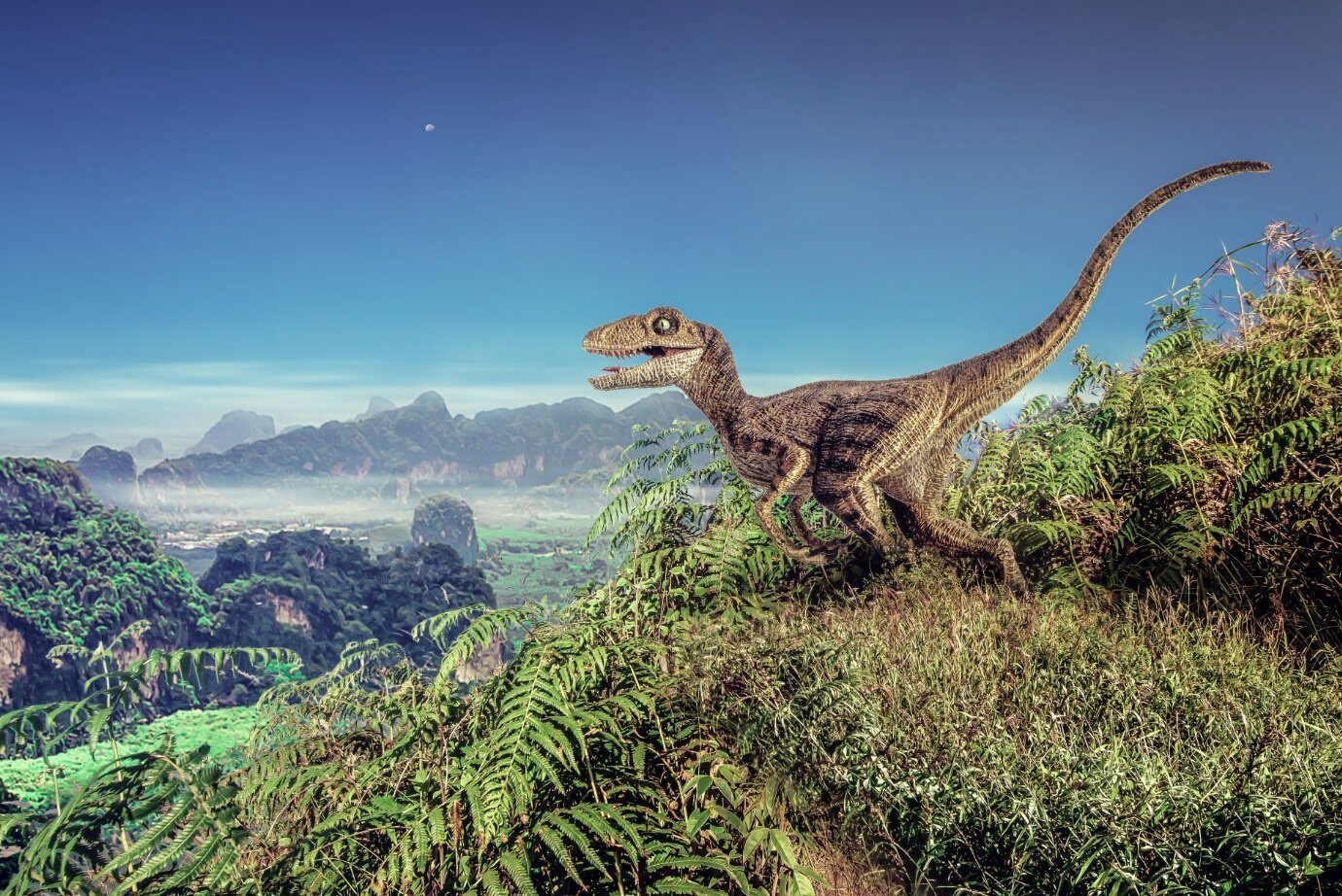 O fosilă veche de 90 de milioane de ani a elucidat un mister din lumea dinozaurilor O echipă internațională de cercetători a descoperit o fosilă aproape completă a unui dinozaur vechi de 90 de milioane de ani, oferind noi perspective asupra evoluției unui grup ciudat de animale preistorice