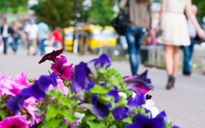 Meteo: Cum va fi vremea în următoarele patru săptămâni în România?