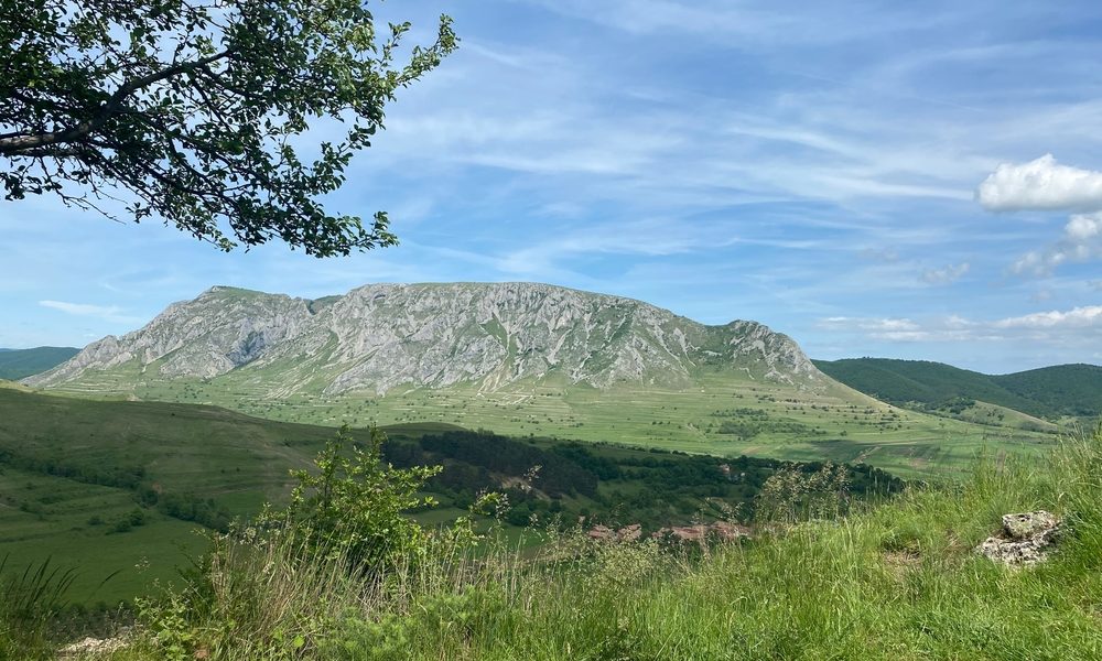 Cluj-Napoca, un oraș vibrant cu viață culturală bogată și numeroase evenimente, atrage tot mai mulți turiști