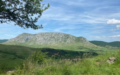 Cluj-Napoca, un oraș vibrant cu viață culturală bogată și numeroase evenimente, atrage tot mai mulți turiști