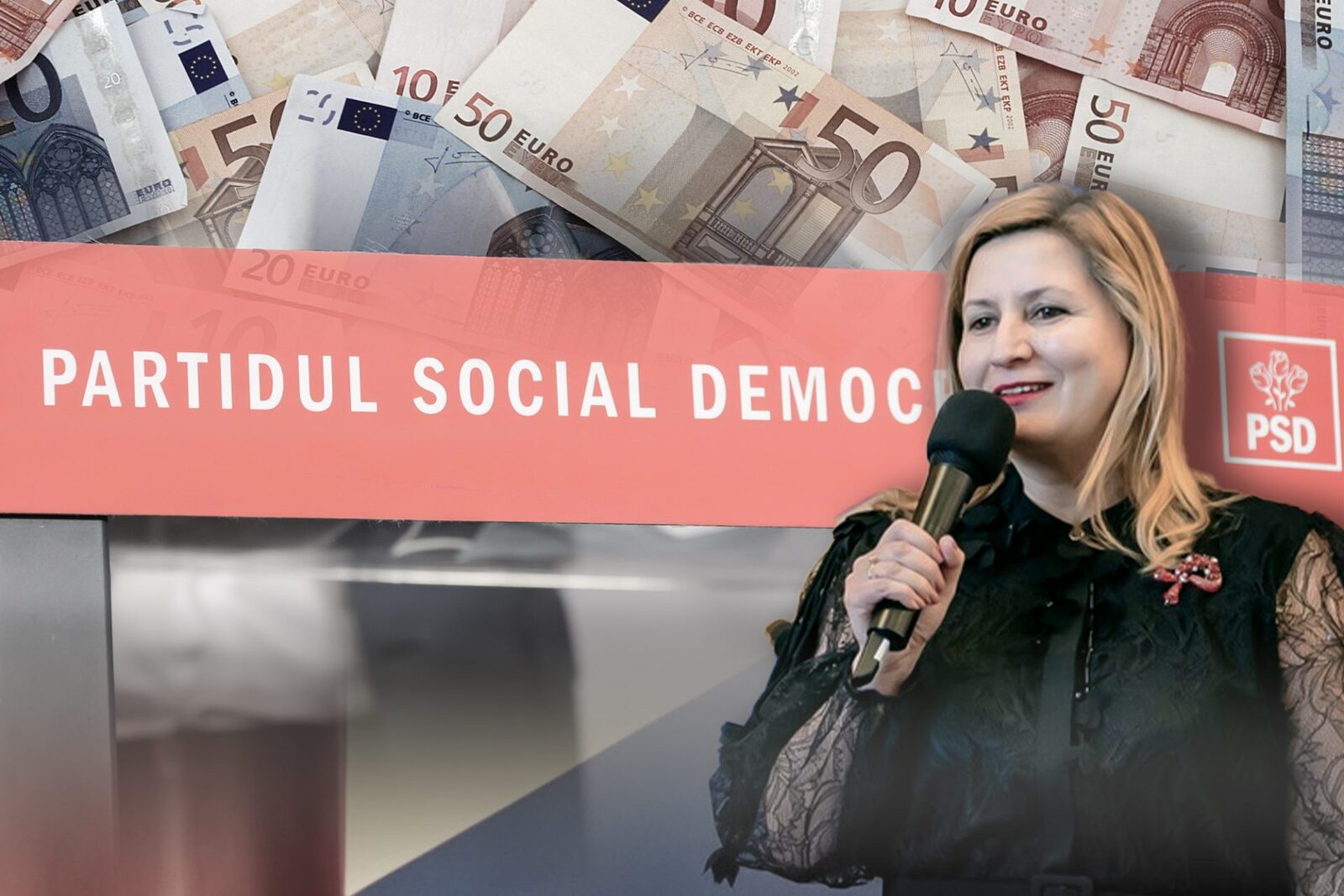 Directorul economic al PSD, Elena Vlad, a încasat peste 500.000 de euro în ultimii doi ani, provenind din salariul de la partid, dar mai ales din contracte încheiate în timpul campaniilor electorale