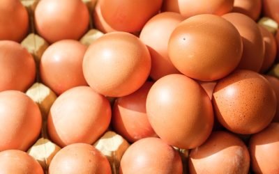 Coaja de ou: o structură complexă cu roluri multiple Coaja de ou, adesea trecută cu vederea, este o structură complexă, cu o arhitectură precisă și funcții vitale pentru dezvoltarea embrionului