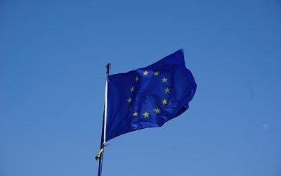 Tracemap: Inteligența artificială detectează fraude alimentare în ue. Ce produse sunt falsificate?