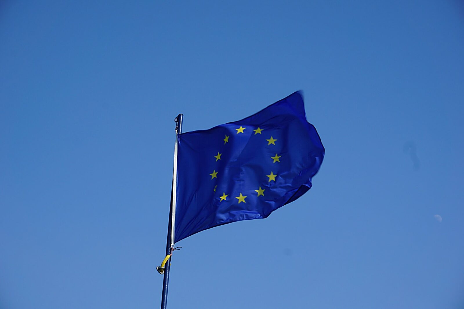 Tracemap: Inteligența artificială detectează fraude alimentare în ue. Ce produse sunt falsificate?
