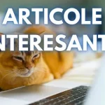 Articole interesante: Ce să citești astăzi, 15 martie 2026