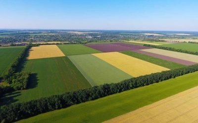 Negrescu cere Comisiei Europene măsuri urgente pentru fermieri, afectați de scumpirea carburanților Victor Negrescu, vicepreședintele Parlamentului European, a solicitat Comisiei Europene activarea unui mecanism de sprijin pentru fermierii europeni