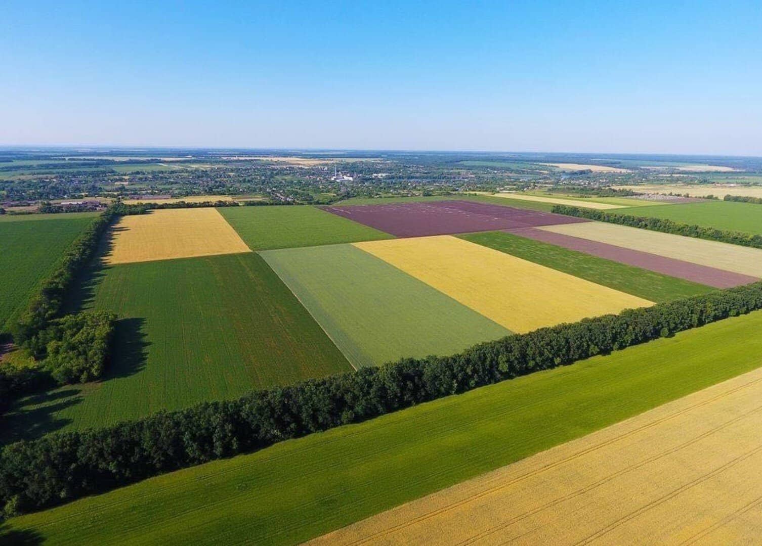 Negrescu cere Comisiei Europene măsuri urgente pentru fermieri, afectați de scumpirea carburanților Victor Negrescu, vicepreședintele Parlamentului European, a solicitat Comisiei Europene activarea unui mecanism de sprijin pentru fermierii europeni