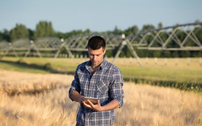 Fermierii încep depunerea cererilor de plată APIA pentru campania 2026