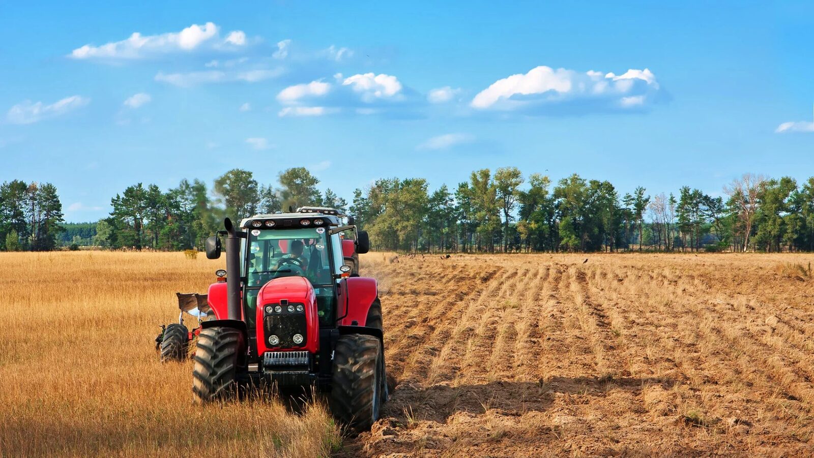 Măsuri de sprijin pentru fermieri: Motorina fără accize și TVA, în planul Ministerului Agriculturii Ministerul Agriculturii și Dezvoltării Rurale (MADR) a lansat în dezbatere publică un proiect de ordonanță de urgență prin care propune măsuri temporare de sprijin pentru producătorii agricoli din sectorul vegetal