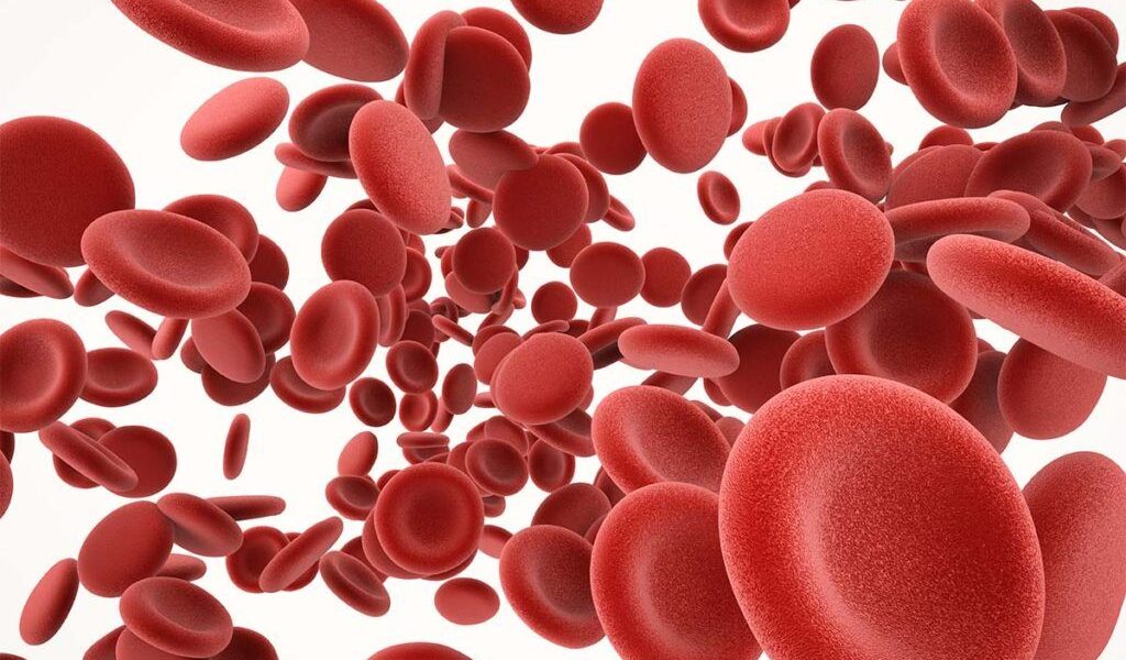 Alimente care pot reduce riscul de formare a cheagurilor de sânge Cheagurile de sânge pot declanșa afecțiuni grave, precum atacuri de cord, accidente vasculare cerebrale sau embolie pulmonară