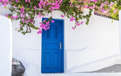 Grădinile roz ale Greciei atrag turiștii ca un magnet, rivalizând cu florile de cireș din Japonia Odată un secret local, câmpiile acoperite de flori de piersic din apropierea orașului Veria, în nordul Greciei, au devenit o destinație turistică de top pentru cei dornici să admire un spectacol natural uimitor