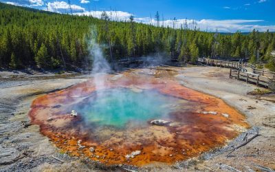 Gheizerul Echinus din Yellowstone, din nou activ după cinci ani de tăcere Gheizerul Echinus, considerat cel mai mare gheizer acid din lume și situat în Parcul Național Yellowstone din Statele Unite, a intrat din nou în erupție la începutul anului 2026, după o perioadă de peste cinci ani de inactivitate