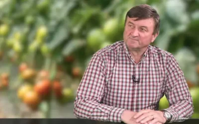 Creșterea prețurilor la carburanți lovește buzunarele românilor: legumele se scumpesc înainte de Paște Prețurile legumelor înregistrează o creștere, anticipând deja efectele majorării costurilor pentru carburanți