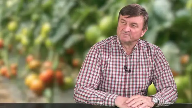 Creșterea prețurilor la carburanți lovește buzunarele românilor: legumele se scumpesc înainte de Paște Prețurile legumelor înregistrează o creștere, anticipând deja efectele majorării costurilor pentru carburanți