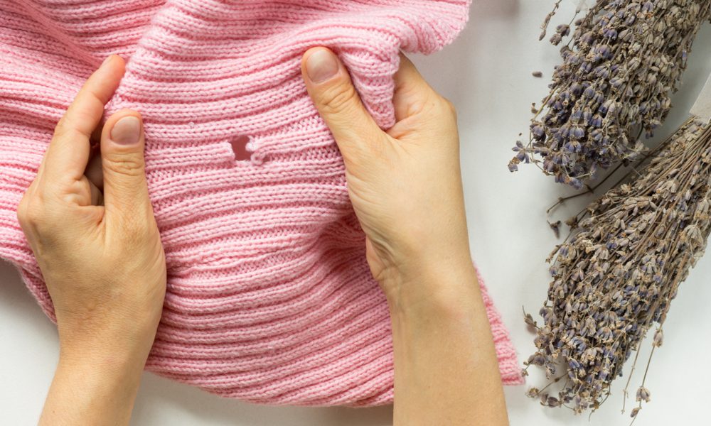 Scapă de molii: Trucuri simple și eficiente pentru dulap, aplică-le!