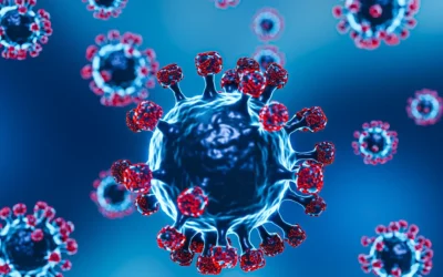 Virusurile zoonotice, o amenințare constantă: studiul care avertizează asupra riscului de noi pandemii Oamenirea ar putea fi confruntată oricând cu noi pandemii, avertizează medicii