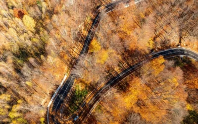 Drumul Național DN2L Soveja – Lepşa, multă vreme considerat o „rușine națională” din cauza stării precare, a fost complet modernizat pe o lungime de 16 kilometri