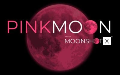 Programul PinkMoon lansează o competiție pentru antreprenoarele românce Un nou program de susținere a antreprenoriatului feminin din România, denumit PinkMoon, își propune să ofere sprijin companiilor fondate sau conduse de femei care doresc să se extindă la nivel internațional