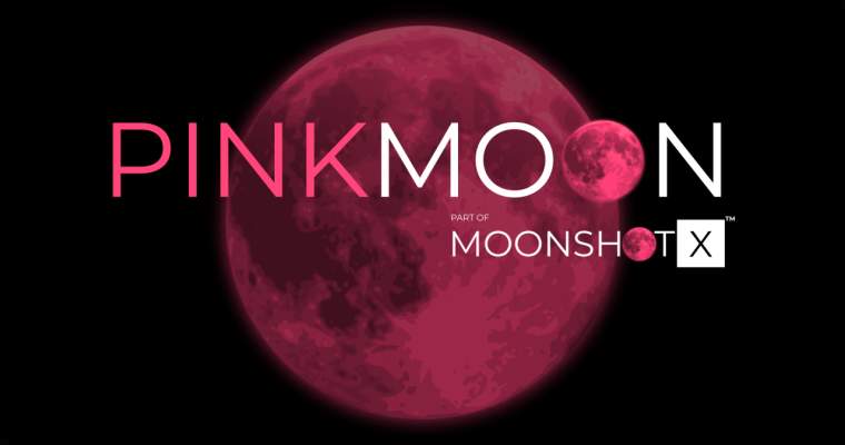 Programul PinkMoon lansează o competiție pentru antreprenoarele românce Un nou program de susținere a antreprenoriatului feminin din România, denumit PinkMoon, își propune să ofere sprijin companiilor fondate sau conduse de femei care doresc să se extindă la nivel internațional