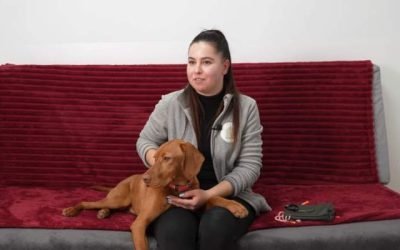 Ingrijitorii de animale, o meserie din ce în ce mai căutată Hotelurile pentru animale de companie devin o prezență constantă în peisajul urban din România, ceea ce duce la o cerere crescută pentru îngrijitori