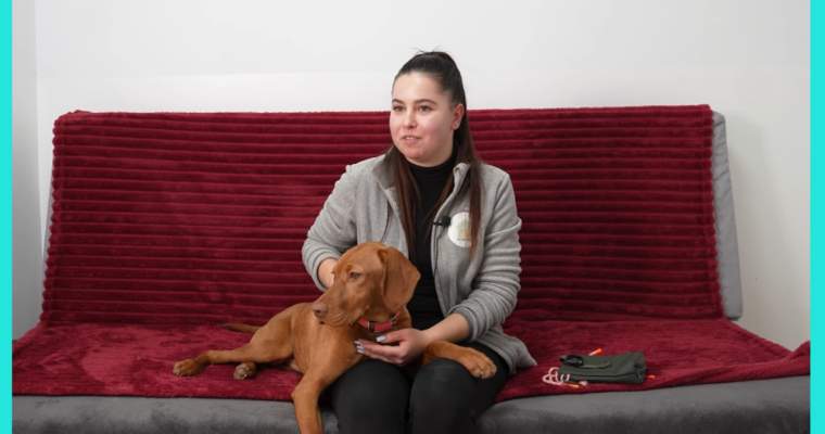 Ingrijitorii de animale, o meserie din ce în ce mai căutată Hotelurile pentru animale de companie devin o prezență constantă în peisajul urban din România, ceea ce duce la o cerere crescută pentru îngrijitori