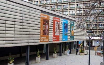 Art Safari deschis în Amzei 13: Expoziții noi