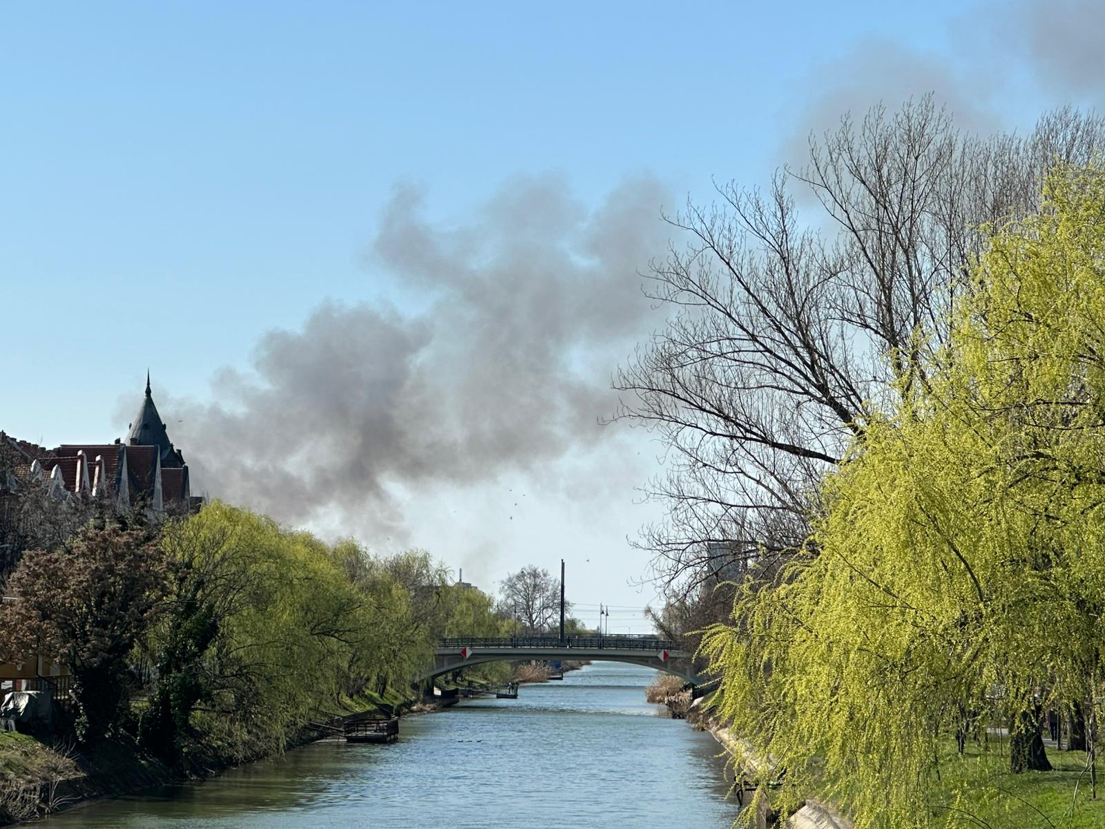 Incendiu în zona Freidorf: Pompierii intervin pentru stingerea focului Timișoara – Un incendiu a izbucnit miercuri, în zona Freidorf din Timișoara, în apropiere de Liceul Tehnologic Transporturi Auto