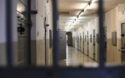 Adrian Chesnoiu, fost ministru al Agriculturii, condamnat la închisoare cu executare Înalta Curte de Casație și Justiție a pronunțat o sentință importantă în dosarul fostului ministru al Agriculturii, Adrian Chesnoiu