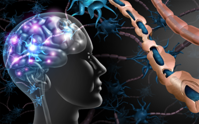 China aprobă comercializarea primului sistem creier-computer pentru recuperarea funcțiilor motorii Autoritatea de reglementare a medicamentelor din China a aprobat comercializarea unui sistem inovator de interfață creier-computer (BCI), marcând o premieră mondială