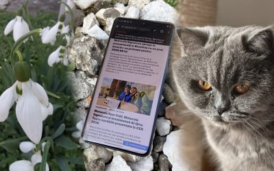Motorola Signature, un telefon cu specificații de top și accent pe inteligența artificială Motorola lansează un nou telefon de top, Signature, care promite performanțe de ultimă generație într-un design ultra-subțire