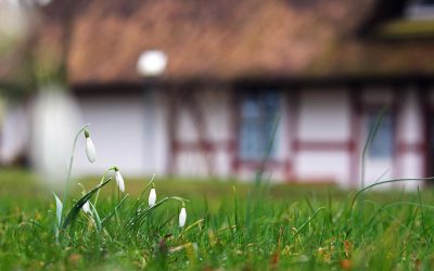 Vremea se încălzește, dar instabilitatea rămâne: Prognoza meteo pentru următoarele două săptămâni În prima jumătate a lunii martie, România se va bucura de temperaturi peste mediile multianuale, potrivit prognozelor meteo