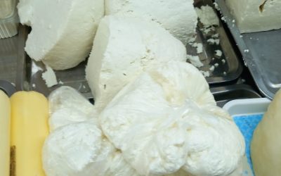Plafonarea adaosurilor comerciale la alimente de bază, prelungită de Guvern Guvernul a decis să prelungească măsura de plafonare a adaosurilor comerciale pentru o serie de produse alimentare de bază