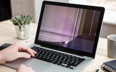 Ce trebuie să știi despre drepturile tale dacă un produs nou are defecte Cumpărătorii de bunuri au dreptul la produse conforme, care funcționează corect și pot fi utilizate conform scopului pentru care au fost achiziționate