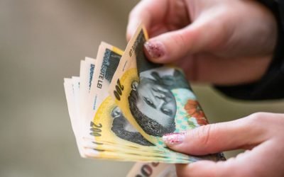 Salarul rămâne principalul criteriu pentru angajații români în căutarea unui nou loc de muncă, potrivit unui studiu recent